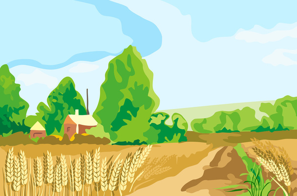 campo di grano - Vettoriali, immagini