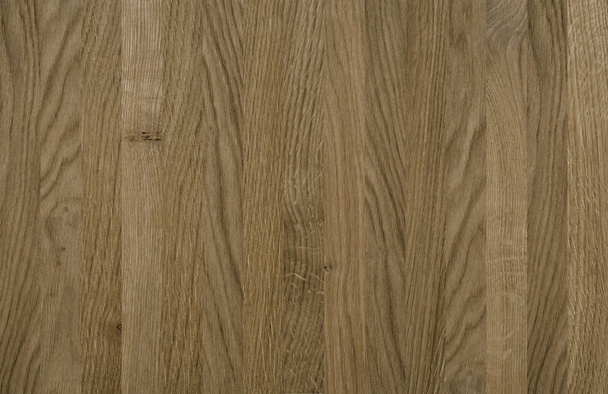 A fragment of a wooden panel hardwood.  - 写真・画像