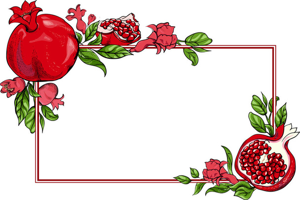 White rectangular background with red pomegranate.  - Vetor, Imagem