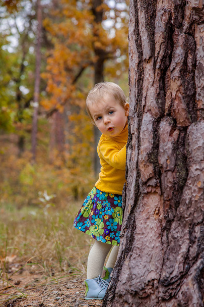 Happy little girl walks in autumn park, gathers leaves. - Фото, изображение