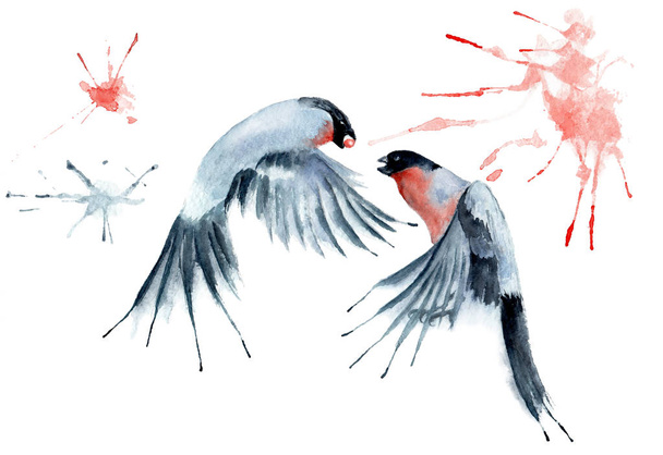 watercolor drawing bird bullfinch with splashes and stains - Photo, Image