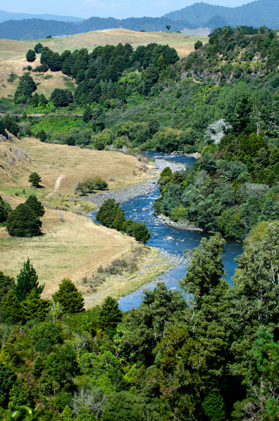Taumarunui river - Fotó, kép