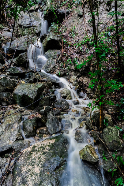 Small waterfall in the forest - Foto, afbeelding