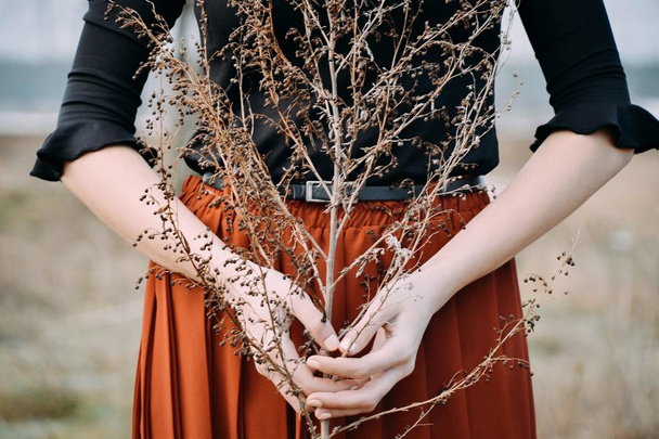 Руки девушки с травой
 - Фото, изображение