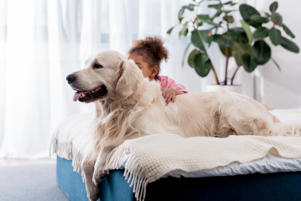 Adorable african american kid sitting on the bed behind her golden retriever - Photo, Image