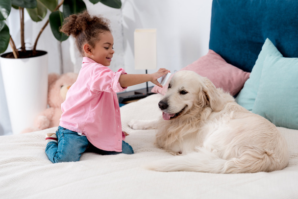 curly african american child sitting on the bed and shows smartphone screen to retriever - Photo, Image