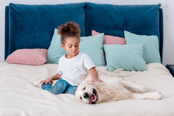 かわいい小さなアフリカ系アメリカ人子供はベッドで犬と遊ぶ - 写真・画像