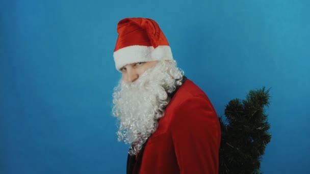 Νέο έτος 2019, ο άνθρωπος όπως ένα Santa κατέχει ένα χριστουγεννιάτικο δέντρο πίσω από την πλάτη και δείχνει τον αντίχειρα όπως, μπλε φόντο - Πλάνα, βίντεο