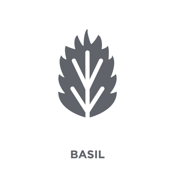 Basil pictogram. Het ontwerpconcept van de basilicum uit groenten en fruit-collectie. Eenvoudig element met de vectorillustratie op witte achtergrond. - Vector, afbeelding