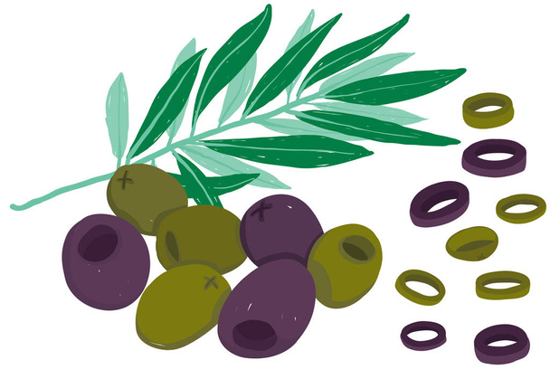 Pittoresco vettoriale con olive nere e verdi con ramoscello d'ulivo e pezzetti di fetta; isolato su fondo bianco. Usalo per ricette, menu dei ristoranti e come elementi alimentari
. - Vettoriali, immagini
