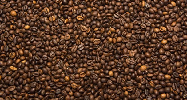 Coffee beans background, close up  - Photo, image