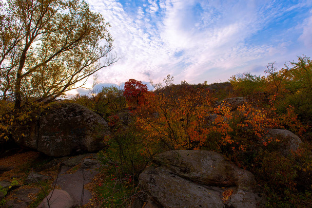herfst bomen langs de rotsachtige oevers van de rivier - Foto, afbeelding