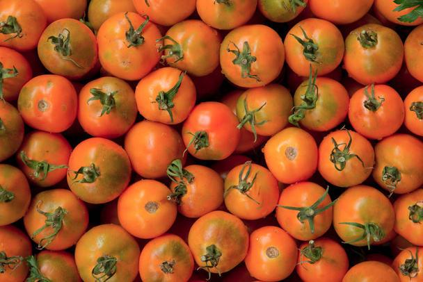 orange tomatoes close up - Foto, Bild