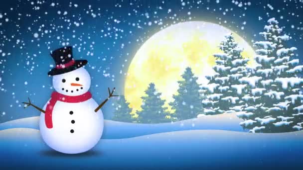 Zimní Snow Man krajina - Záběry, video