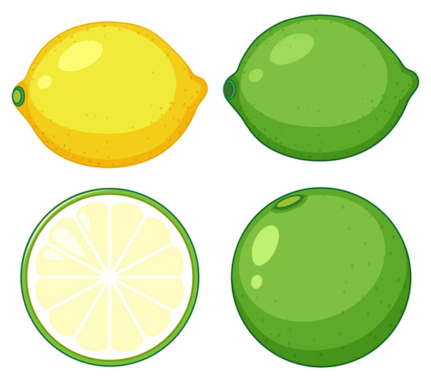 Semplice agrumi su sfondo bianco illustrazione
 - Vettoriali, immagini