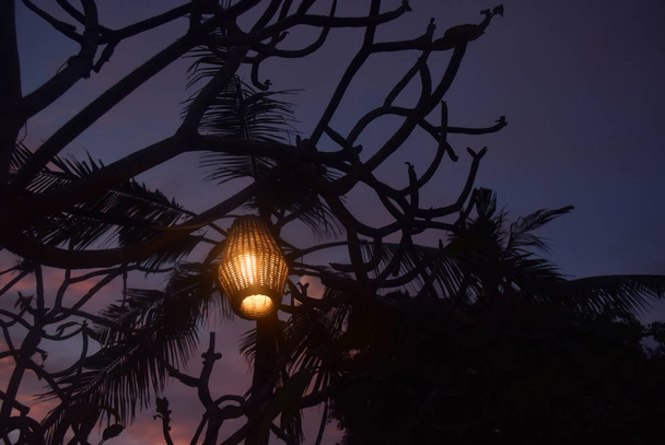 Nusa Dua plajda ahşap lamba ile Hindistan cevizi ağacı, Bali, Endonezya. - Fotoğraf, Görsel