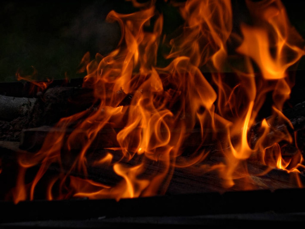 tűz ég, a fa, a grill - Fotó, kép