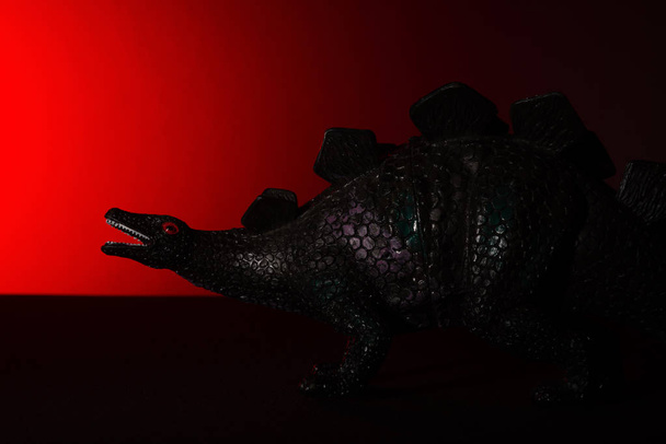 Stegosaurus mit Spotlicht auf dem Kopf und rotem Licht auf dem Hintergrund ohne Logo und ohne Marke - Foto, Bild