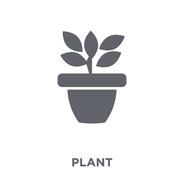 Het pictogram van de plant. Het ontwerpconcept van de plant uit de landbouw, landbouw en tuinieren collectie. Eenvoudig element met de vectorillustratie op witte achtergrond. - Vector, afbeelding