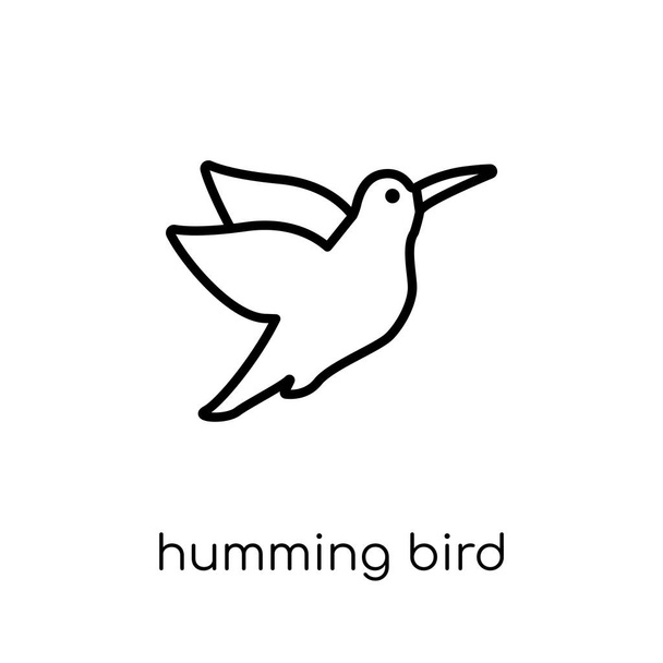 Humming bird ikona. Trendy moderní ploché lineární vektorový hučení pták ikonu na bílém pozadí z tenké linie zvířata kolekce, upravit obrys tahu vektorové ilustrace - Vektor, obrázek