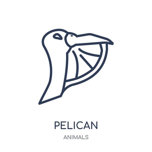 Pelican icon. Pelican linear symbol design from Animals collection. Simple outline element vector illustration on white background. - Vektor, obrázek