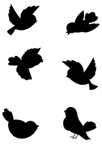 Set outline birds - Vector, Image