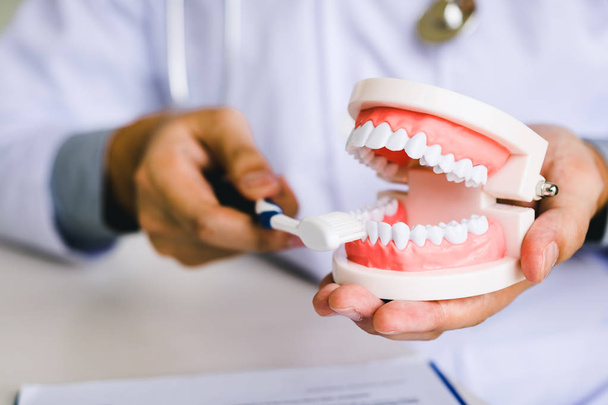 Close-up van de hand tandartsen demonstreren hoe goed hun tanden borstel. - Foto, afbeelding
