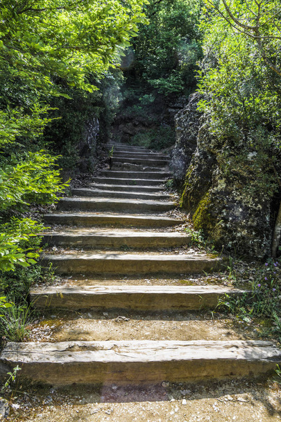 The dilapidated wooden steps of the old staircase lead past the ancient stone wall under the thick branches of trees to the top of the mountain, where the Greek Orthodox monastery is located. - 写真・画像
