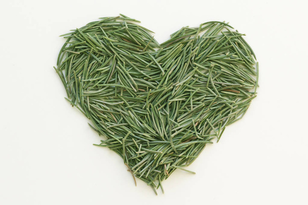 Heart shape from green fir needles - Valokuva, kuva