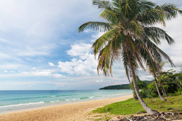 Plage tropicale avec palmiers et sable brillant. Vacances d'été en mer et concept de voyage
 - Photo, image