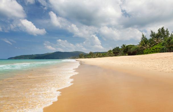 Τροπική παραλία με φοίνικες και φωτεινή άμμο. Καλοκαιρινές θαλάσσιες διακοπές και ταξιδιωτική έννοια - Φωτογραφία, εικόνα
