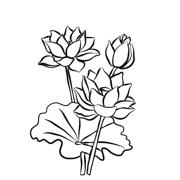 Beautiful lotus flowers black white isolated sketch - Διάνυσμα, εικόνα