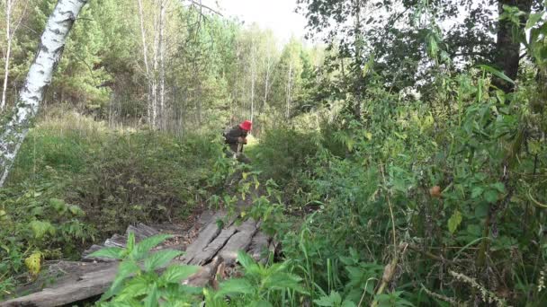 Mature male traveler with backpack gently walks along wooden old destroyed bridge over stream in wild forest. Leisure activities on summer day - Footage, Video