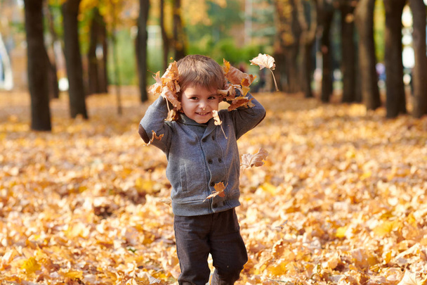 Child boy is in autumn city park. Bright yellow trees. - Фото, зображення