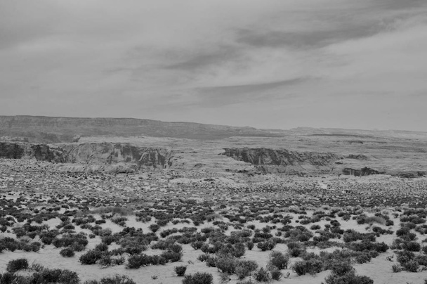 Desierto Blanco y Negro sin vivir en los Estados Unidos
 - Foto, imagen