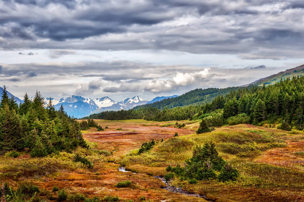 Festői táj egy kis patak fut keresztül az alaszkai vadonban, a Chugach-hegység, ősz folyamán - Fotó, kép