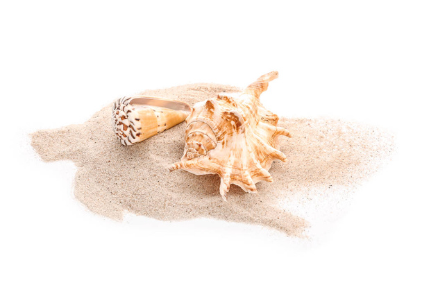 Κοχύλια και άμμο σε λευκό φόντο - Φωτογραφία, εικόνα