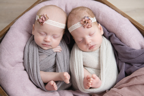 Новорожденные близнецы в корзине
 - Фото, изображение