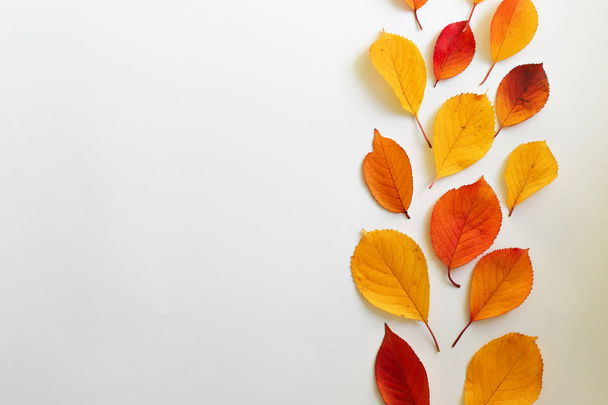 Composición de otoño. Piso tendido, vista superior
 - Foto, Imagen