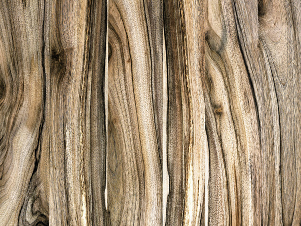 A fragment of a wooden panel hardwood. Walnut. - Photo, Image