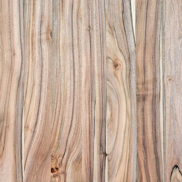 A fragment of a wooden panel hardwood. Walnut. - Zdjęcie, obraz