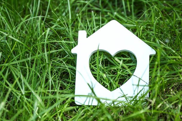 Modelo de casa en hierba verde
 - Foto, imagen