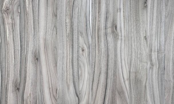 Un fragmento de un panel de madera de frondosas. Nogal
. - Foto, imagen