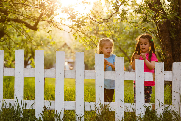 kleine verschmitzte Mädchen hinter weißem Zaun auf dem Land  - Foto, Bild