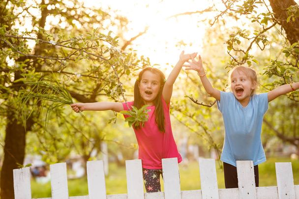Little mischievous girls behind white fence in countryside  - 写真・画像