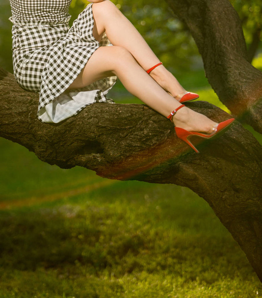 Beautiful woman legs in the light of sunset sun sitting on a tree wearing red hight heels - Photo, Image