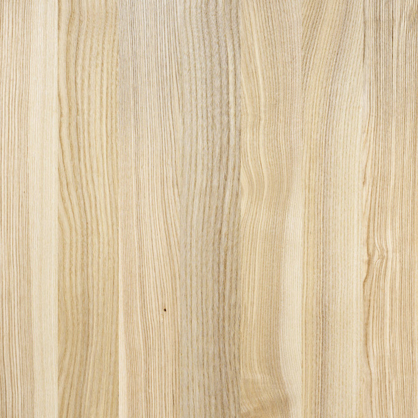 un fragmento de un panel de madera de madera dura.  - Foto, Imagen