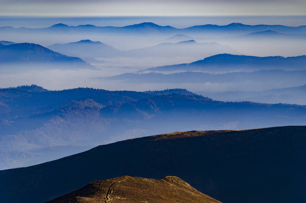Удивительный утренний горный пейзаж с синими горными силуэтами. Утро в Карпатах
 - Фото, изображение