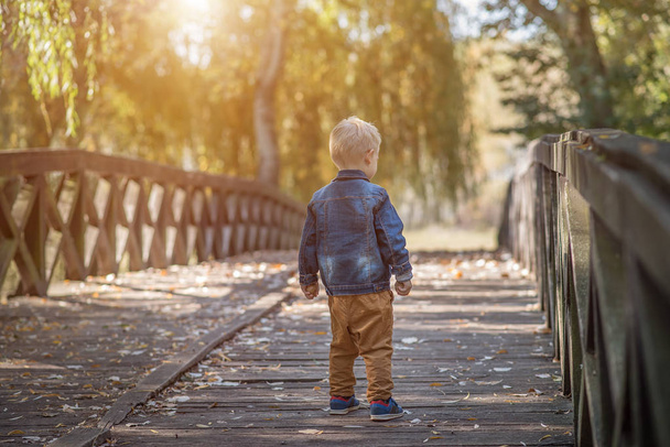 Adorable little boy on the wooden bridge in the nature - Фото, изображение