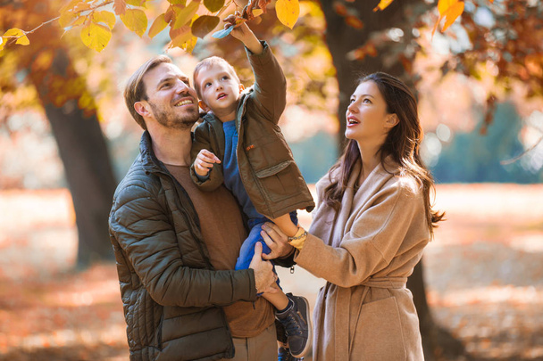 若い家族が彼の息子と秋の公園で楽しんで. - 写真・画像
